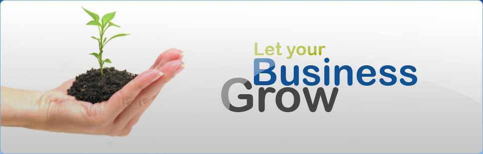 Lets grow you business - seattle Online Marketing